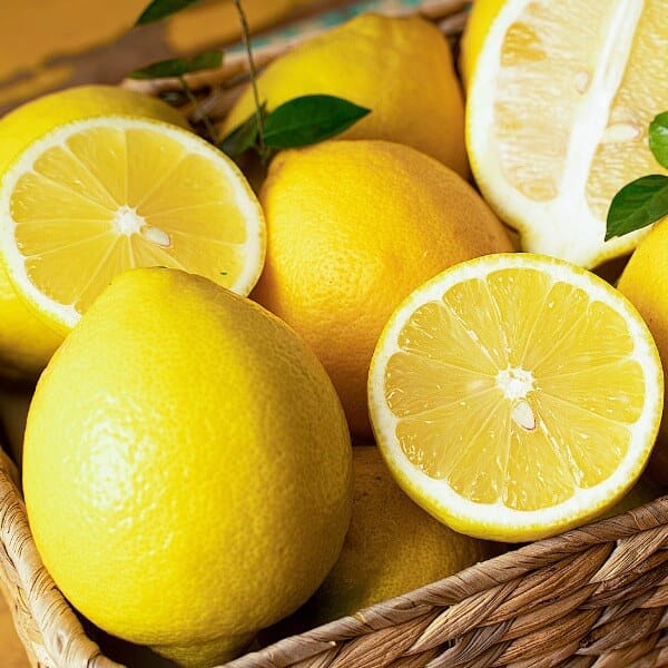 농약 없이 길러낸 제주산 친환경 인증 레몬