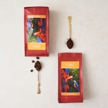과테말라 안티구아 원두로 만든 저카페인 발아 커피